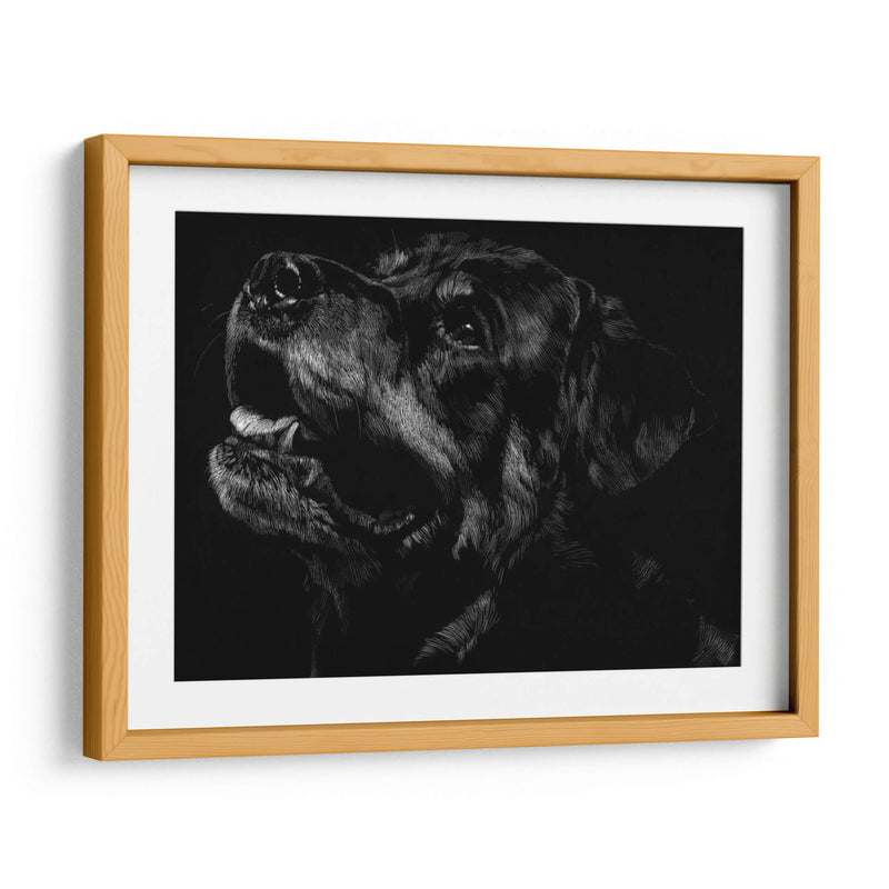 Scratchboard Canino Xxvii - Julie T. Chapman | Cuadro decorativo de Canvas Lab