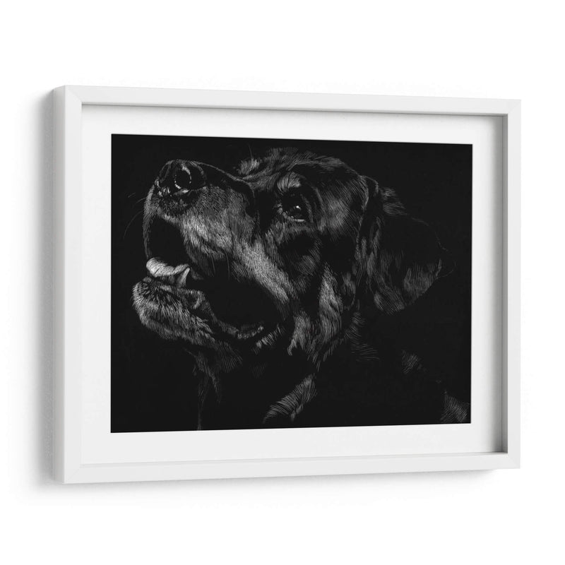 Scratchboard Canino Xxvii - Julie T. Chapman | Cuadro decorativo de Canvas Lab