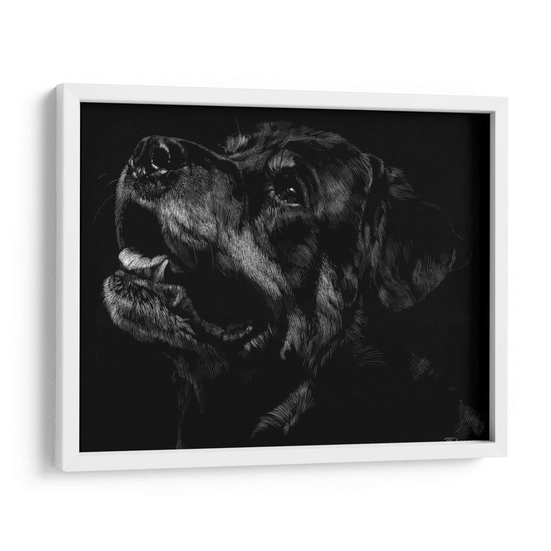 Scratchboard Canino Xxvii - Julie T. Chapman | Cuadro decorativo de Canvas Lab