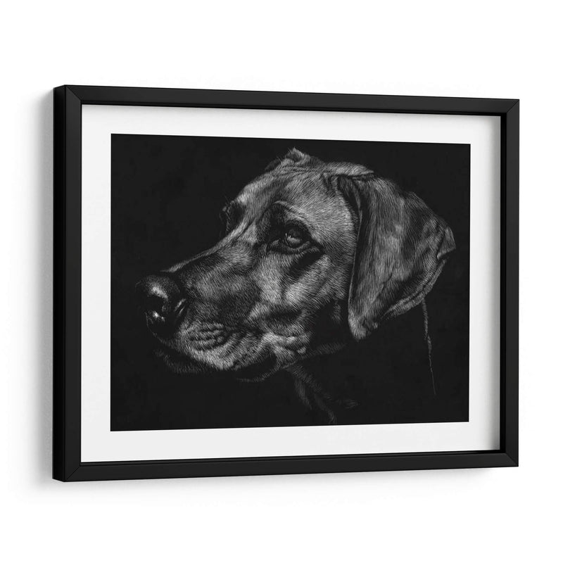 Canino Scratchboard Xxviii - Julie T. Chapman | Cuadro decorativo de Canvas Lab