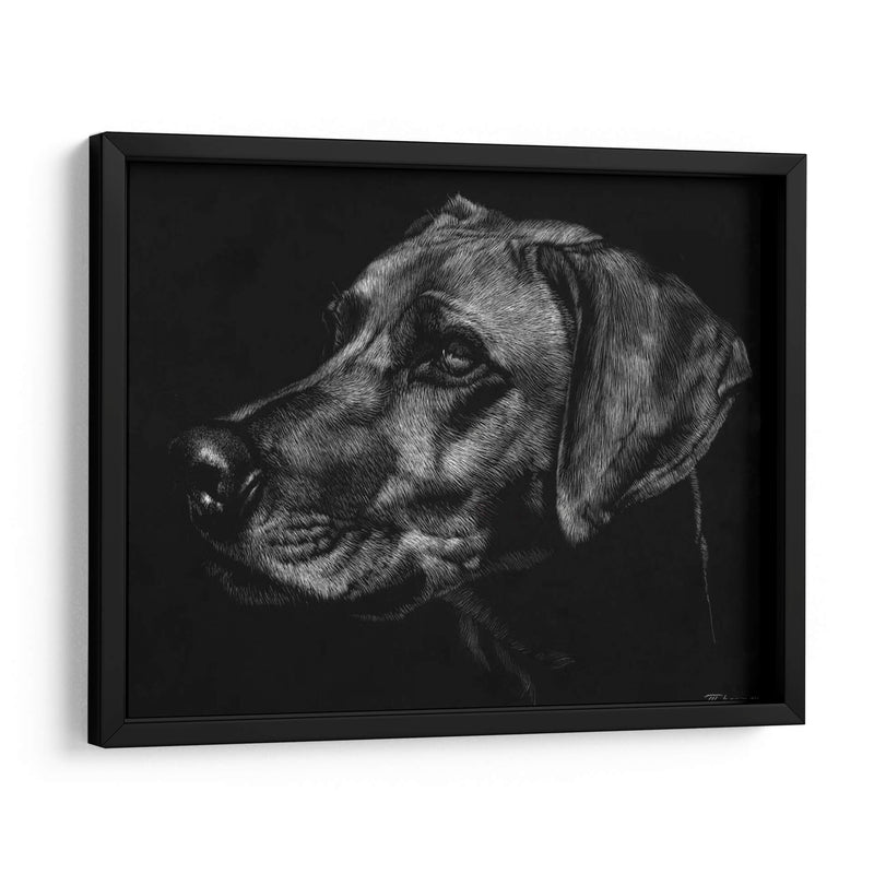 Canino Scratchboard Xxviii - Julie T. Chapman | Cuadro decorativo de Canvas Lab