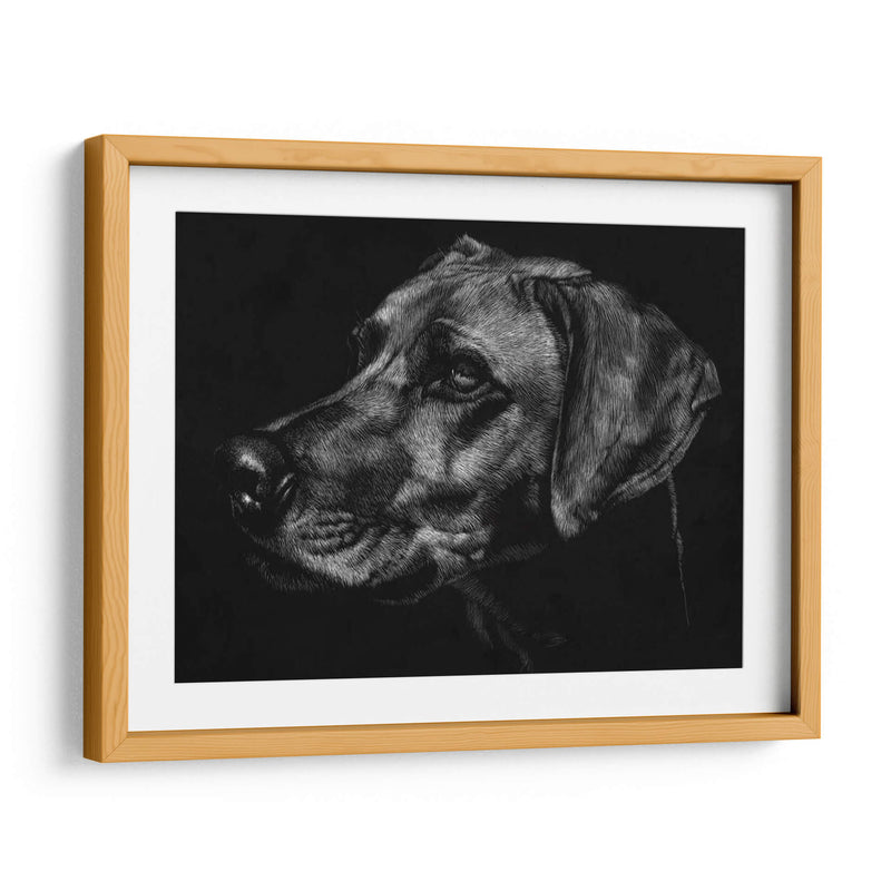 Canino Scratchboard Xxviii - Julie T. Chapman | Cuadro decorativo de Canvas Lab