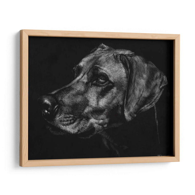 Canino Scratchboard Xxviii - Julie T. Chapman | Cuadro decorativo de Canvas Lab