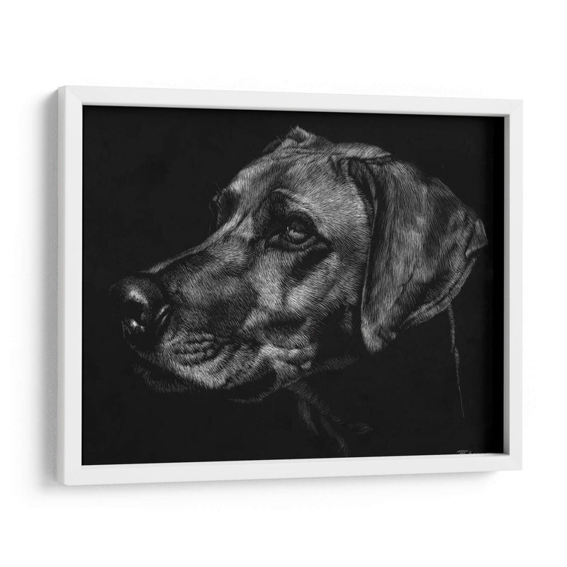 Canino Scratchboard Xxviii - Julie T. Chapman | Cuadro decorativo de Canvas Lab