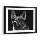 Canino Scratchboard Xxix - Julie T. Chapman | Cuadro decorativo de Canvas Lab