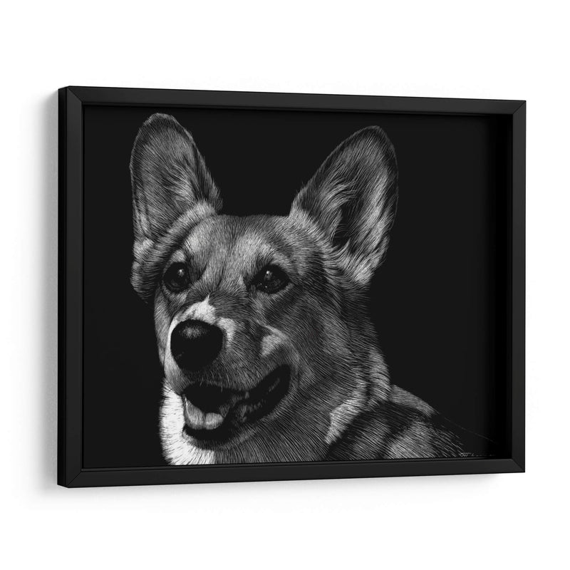 Canino Scratchboard Xxix - Julie T. Chapman | Cuadro decorativo de Canvas Lab