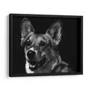 Canino Scratchboard Xxix - Julie T. Chapman | Cuadro decorativo de Canvas Lab