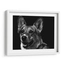 Canino Scratchboard Xxix - Julie T. Chapman | Cuadro decorativo de Canvas Lab