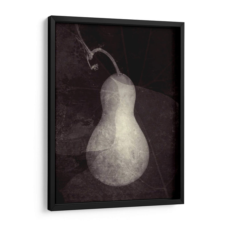 Gourd I - Elena Ray | Cuadro decorativo de Canvas Lab