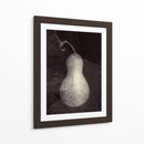 Gourd I - Elena Ray | Cuadro decorativo de Canvas Lab