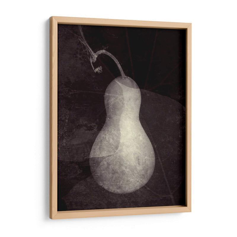 Gourd I - Elena Ray | Cuadro decorativo de Canvas Lab