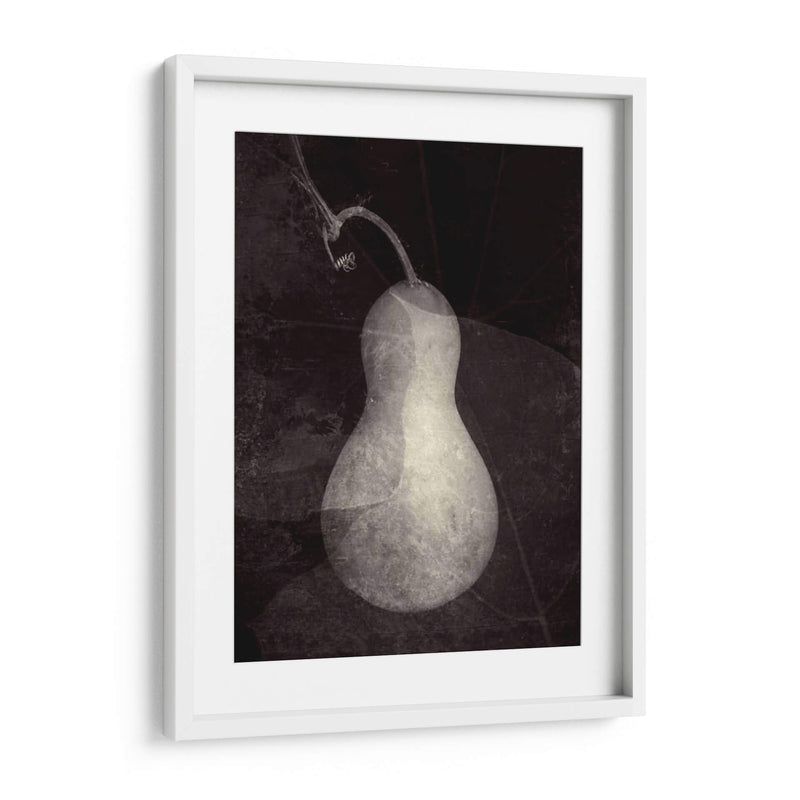 Gourd I - Elena Ray | Cuadro decorativo de Canvas Lab