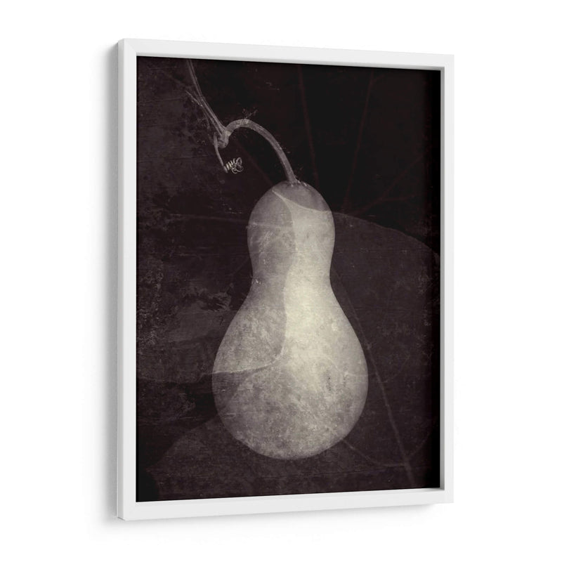 Gourd I - Elena Ray | Cuadro decorativo de Canvas Lab