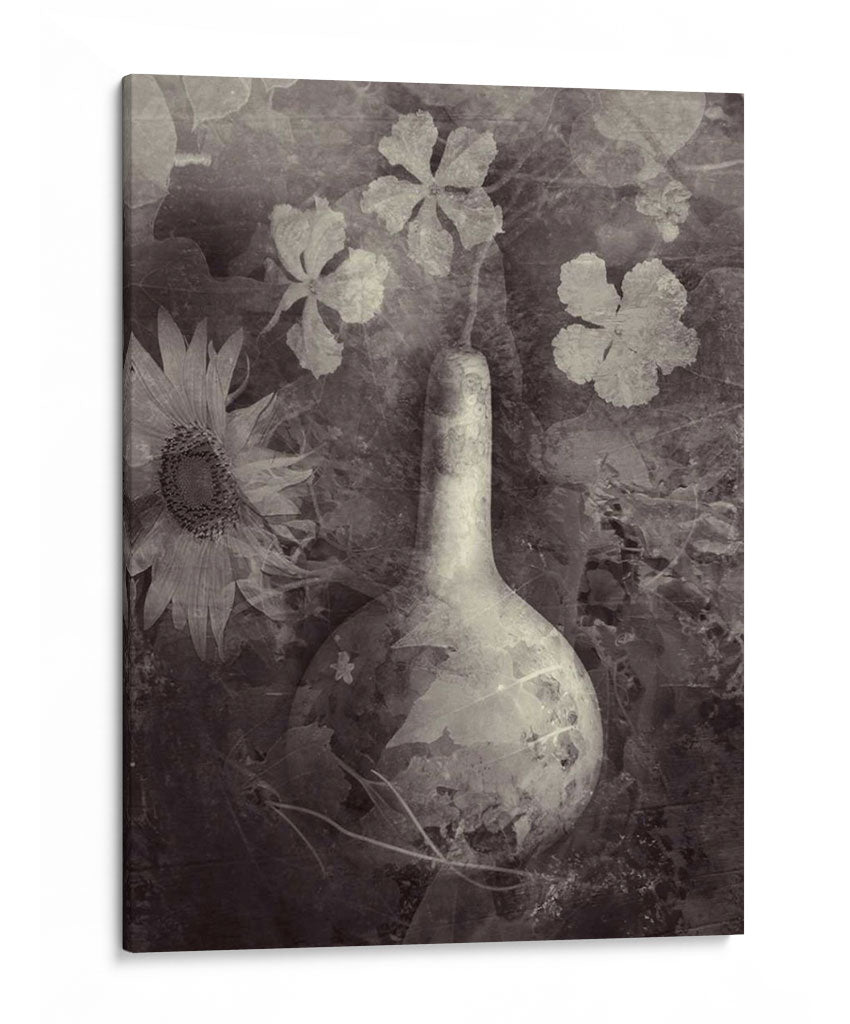 Gourd Ii - Elena Ray | Cuadro decorativo de Canvas Lab