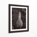 Gourd Iii - Elena Ray | Cuadro decorativo de Canvas Lab