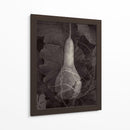 Gourd Iii - Elena Ray | Cuadro decorativo de Canvas Lab