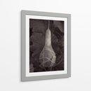 Gourd Iii - Elena Ray | Cuadro decorativo de Canvas Lab