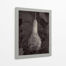 Gourd Iii - Elena Ray | Cuadro decorativo de Canvas Lab