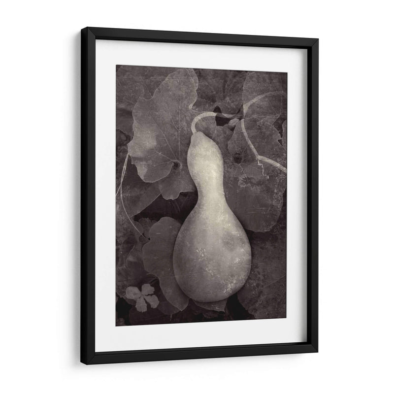 Gourd V - Elena Ray | Cuadro decorativo de Canvas Lab