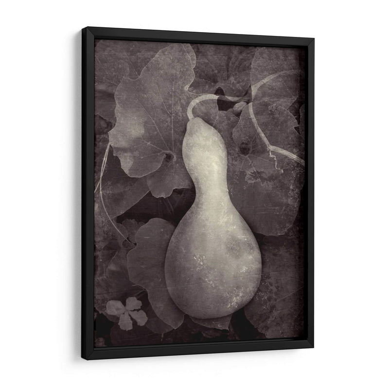 Gourd V - Elena Ray | Cuadro decorativo de Canvas Lab