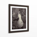Gourd V - Elena Ray | Cuadro decorativo de Canvas Lab