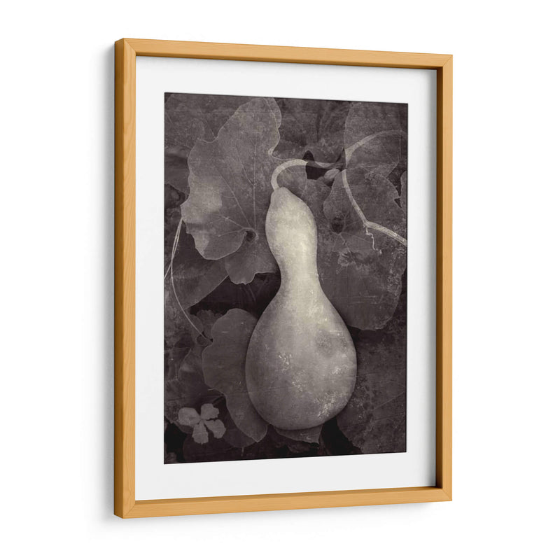 Gourd V - Elena Ray | Cuadro decorativo de Canvas Lab