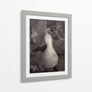 Gourd V - Elena Ray | Cuadro decorativo de Canvas Lab