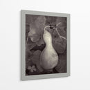 Gourd V - Elena Ray | Cuadro decorativo de Canvas Lab