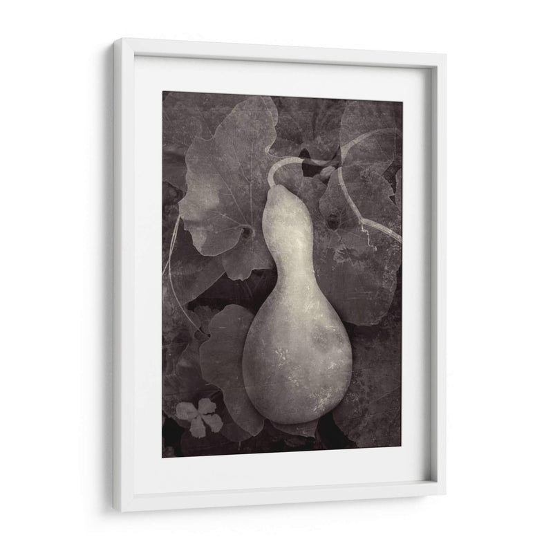 Gourd V - Elena Ray | Cuadro decorativo de Canvas Lab