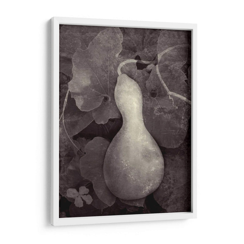 Gourd V - Elena Ray | Cuadro decorativo de Canvas Lab