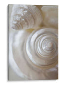 Pearlesce I - Christine Zalewski | Cuadro decorativo de Canvas Lab