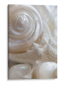 Pearlesce Ii - Christine Zalewski | Cuadro decorativo de Canvas Lab