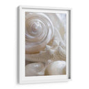 Pearlesce Ii - Christine Zalewski | Cuadro decorativo de Canvas Lab