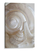 Pearlesce Iii - Christine Zalewski | Cuadro decorativo de Canvas Lab