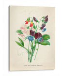 Ramo vintage | Cuadro decorativo de Canvas Lab