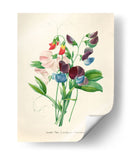 Ramo vintage | Cuadro decorativo de Canvas Lab