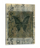 Caligrafía De Mariposa Iii - Elena Ray | Cuadro decorativo de Canvas Lab