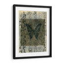 Caligrafía De Mariposa Iii - Elena Ray | Cuadro decorativo de Canvas Lab