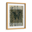 Caligrafía De Mariposa Iii - Elena Ray | Cuadro decorativo de Canvas Lab