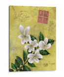 Postal Vi - Rick Novak | Cuadro decorativo de Canvas Lab