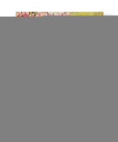 Postal Viii - Rick Novak | Cuadro decorativo de Canvas Lab