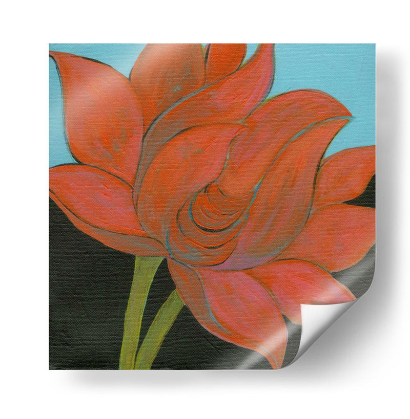 Bliss Lotus I - Jodi Fuchs | Cuadro decorativo de Canvas Lab