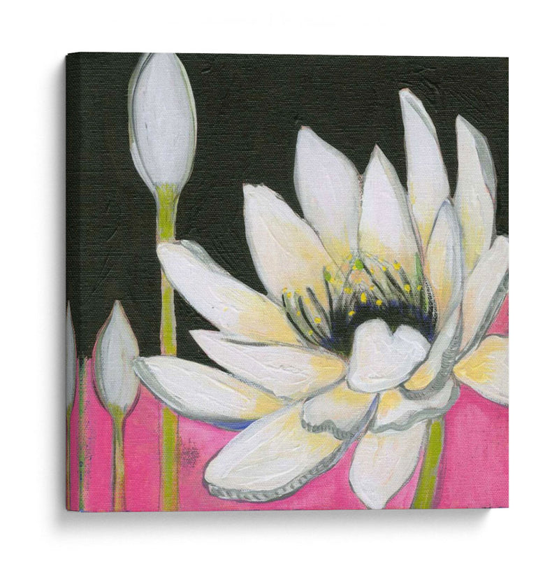 Bliss Lotus Iii - Jodi Fuchs | Cuadro decorativo de Canvas Lab