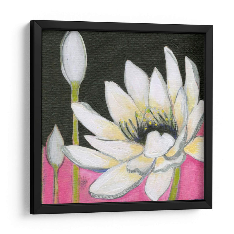 Bliss Lotus Iii - Jodi Fuchs | Cuadro decorativo de Canvas Lab