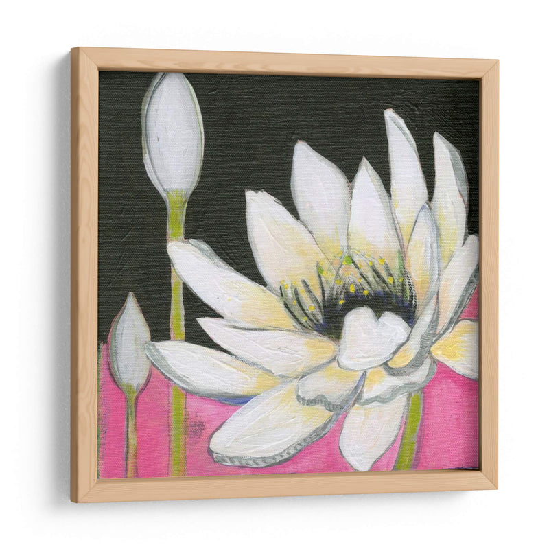 Bliss Lotus Iii - Jodi Fuchs | Cuadro decorativo de Canvas Lab