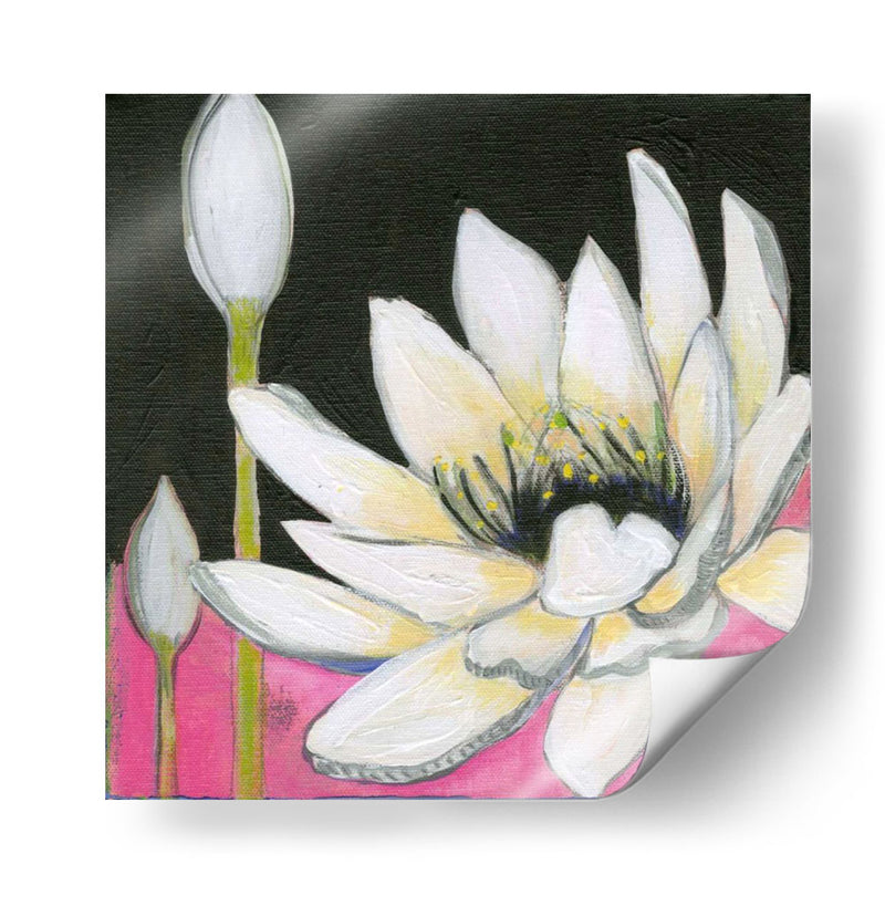 Bliss Lotus Iii - Jodi Fuchs | Cuadro decorativo de Canvas Lab