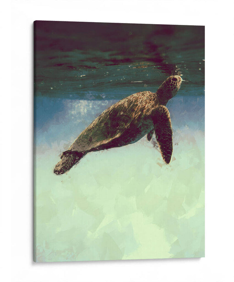 Dreaming - Raúl Bermudez | Cuadro decorativo de Canvas Lab