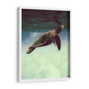 Dreaming - Raúl Bermudez | Cuadro decorativo de Canvas Lab