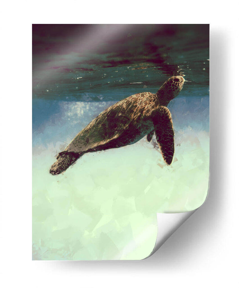 Dreaming - Raúl Bermudez | Cuadro decorativo de Canvas Lab