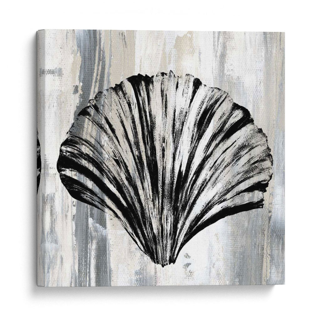 Concha Negra I - Andrea James | Cuadro decorativo de Canvas Lab